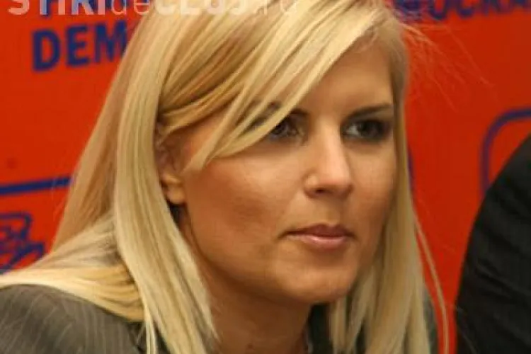 Udrea: PDL ar putea alege culoarea verde sau violet si sa renunte la portocaliu