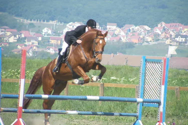 Concurs de anduranta ecvestru la Refugiul Caii Lupilor, Bistrita-Nasaud! Participa si cluburile Napoca si Taraxacum din Cluj