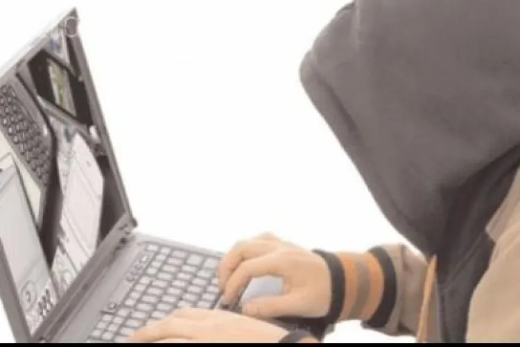 Hackerul "Micul Fum", prins la Arad