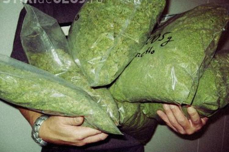 10 kilograme de canabis, confiscate de vamesii din Cluj azi-noapte. Drogurile urmau sa ajunga in Republica Moldova EXCLUSIV
