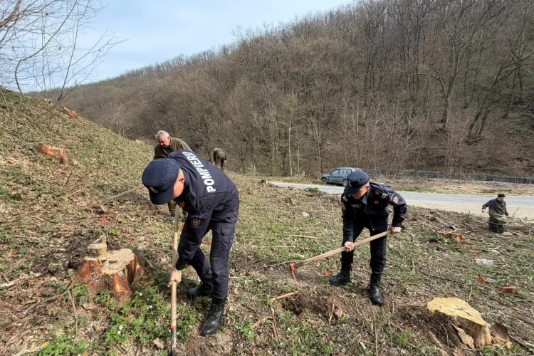Lupta pentru un viitor verde! Pompierii clujeni, în prima linie la plantarea arborilor FOTO 