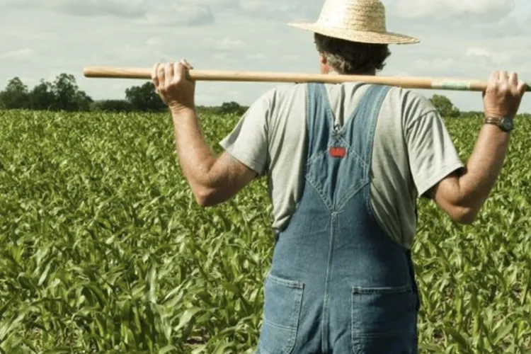 Veste bună pentru fermierii din Cluj: Guvernul le dă bani înapoi pe motorină. Cât primesc la litru și când vin plățile