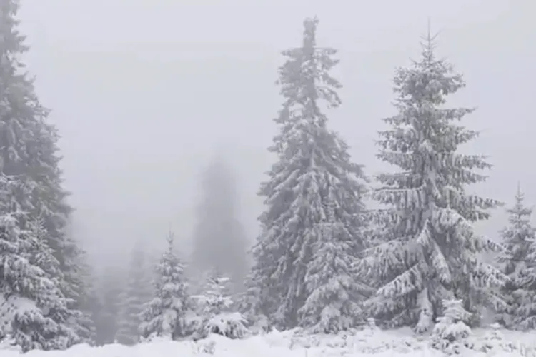 ANM, avertizare de urgență pentru Cluj! Ninsoare și rafale de 90 km/h lovesc județul: Vizibilitatea scade sub 100 de metri