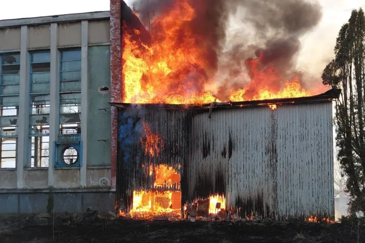 VIDEO. Incendiu de vegetație scăpat de sub control în Cluj: Flăcările au cuprins o anexă de hală. Pompierii s-au luptat din greu cu focul