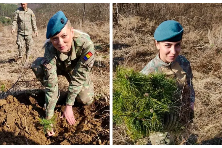 Militarii din Cluj, în „misiune” verde! Au plantat puieți pentru un viitor mai curat: „Construim viitorul” FOTO 
