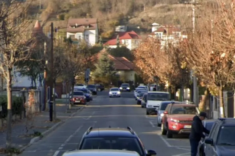 Coșmarul de 20 de ani al unei străzi din Cluj! Vitezomanii omoară animale pe bandă rulantă: „Zi și noapte conduc ca la Grand Prix