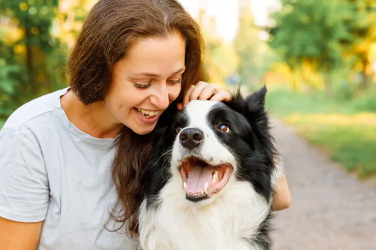 „Hai la mângâiat!” revine în Parcul Central din Cluj: Un eveniment special pentru animale fără stăpân. Vino să vezi cei mai frumoși blănoși