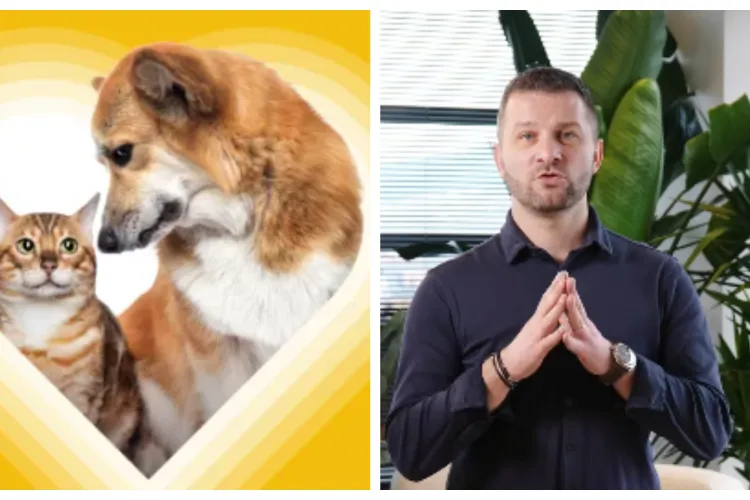 Primăria Florești oferă servicii gratuite pentru câini și pisici. Bogdan Pivariu: „Animalele nu înseamnă doar afecțiune” VIDEO 