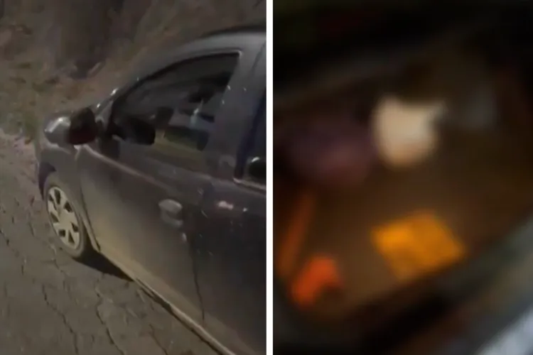 VIDEO. Un control de rutină de pe drumurile din Cluj a scos la iveală un caz complex de braconaj: Ce au descoperit polițiștii când au verificat portbagajul