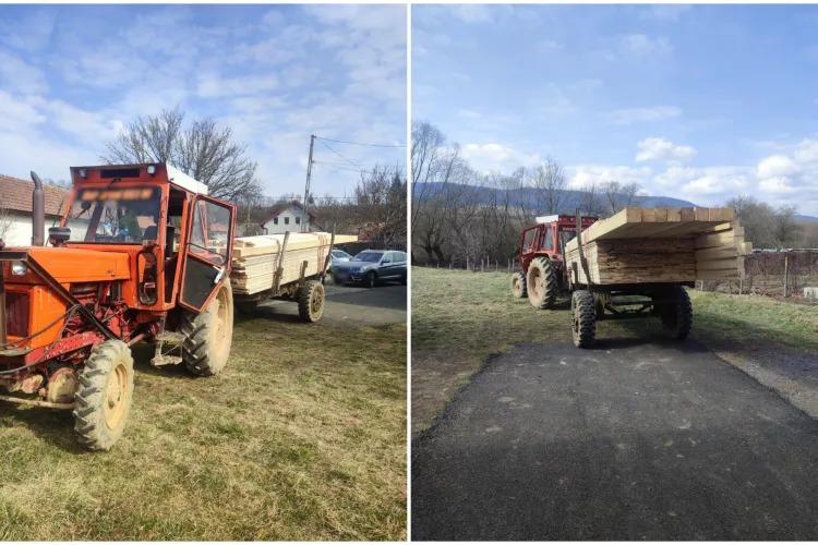 Captură a Poliției la Căpușu Mic în județul Cluj:  5,82 metri cubi de lemn furat. Polițiștii au deschis dosar penal pentru mai multe infracțiuni