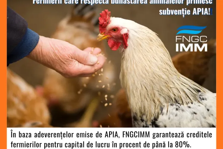 FNGCIMM continuă și în 2026 sprijinul pentru fermieri:  acces mai ușor la credite garantate!
