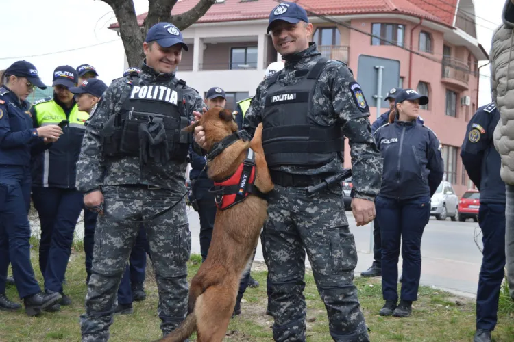 Câini de urmărire și jandarmi, trimiși în școlile din Cluj! Ce au găsit polițiștii și cum au fost avertizate persoanele vizate