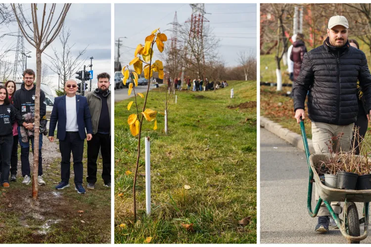 Cluj-Napoca devine mai verde: Emil Boc invită comunitatea la acțiuni de plantare în cartierele Iris și Someșeni
