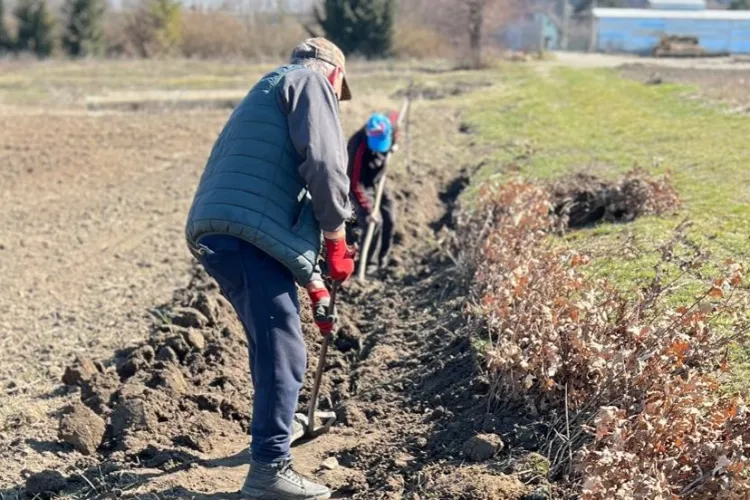 A început campania de împăduriri de primăvară! Zeci de mii de puieți vor fi plantați în județul Cluj
