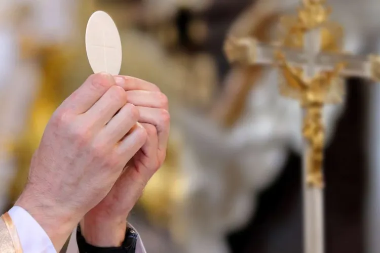 Decizie istorică a Vaticanului: Transplanturile de organe de la animale, acceptate pentru pacienții catolici. Care sunt condițiile