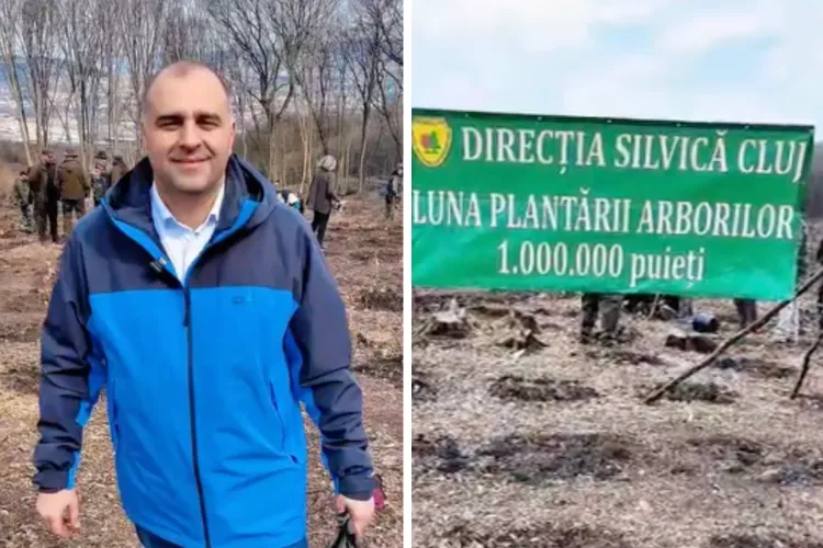 VIDEO. 20.000 de puieți plantați într-o singură zi la Cluj! Acțiune masivă de reîmpădurire la Cheile Baciului: Cine a participat și cum te implici