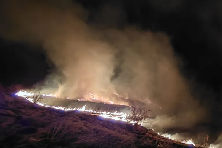 VIDEO. Avertisment dur al autorităților din Cluj: arderea vegetației uscate poate aduce amenzi uriașe și chiar închisoare. Nu toți clujenii cunosc legea