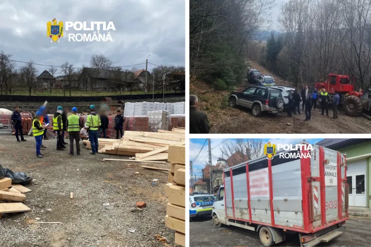 Aproape 200 de mii de lei în amenzi după o razie la cinci firme din Cluj: Muncitori la negru, lemn fără documente și animale transportate ca la ei acasă
