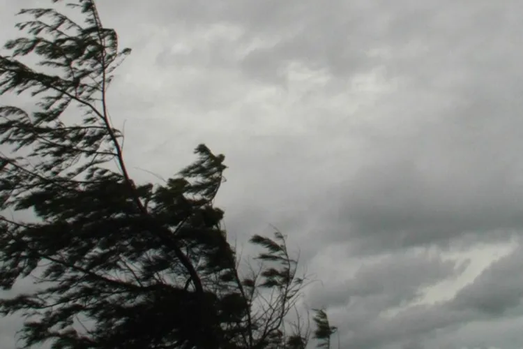 Vremea face prăpăd în Cluj! Cod Galben de vânt, lapoviță și ninsoare la munte: Meteorologii anunță trei zile reci pentru toată regiunea