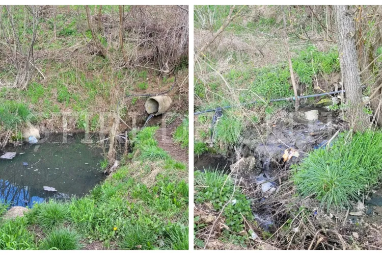 Alertă de poluare în Cluj-Napoca! Ape uzate sunt deversate lângă zone locuite. Clujenii trag un semnal de alarmă FOTO 