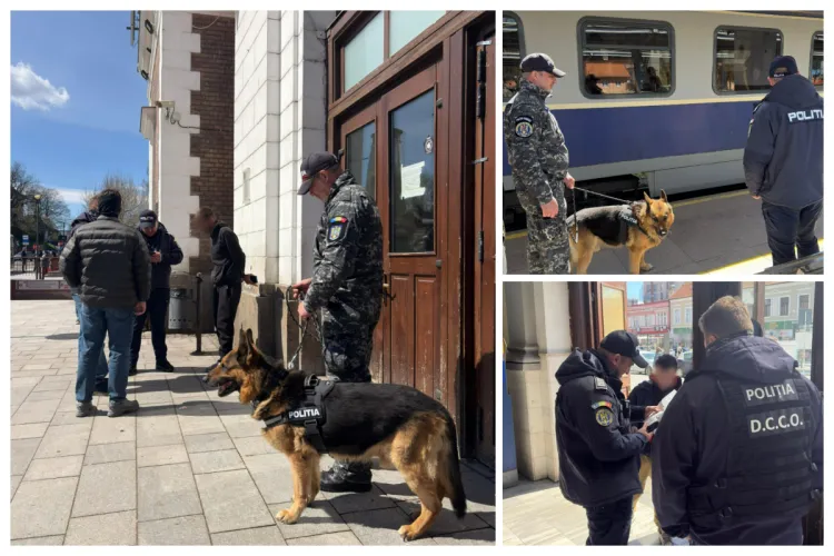 Zeci de călători și bagaje verificați la „sânge” azi în gara Cluj-Napoca și în trenuri. Polițiștii au mers cu câinii în căutare de substanțe interzise