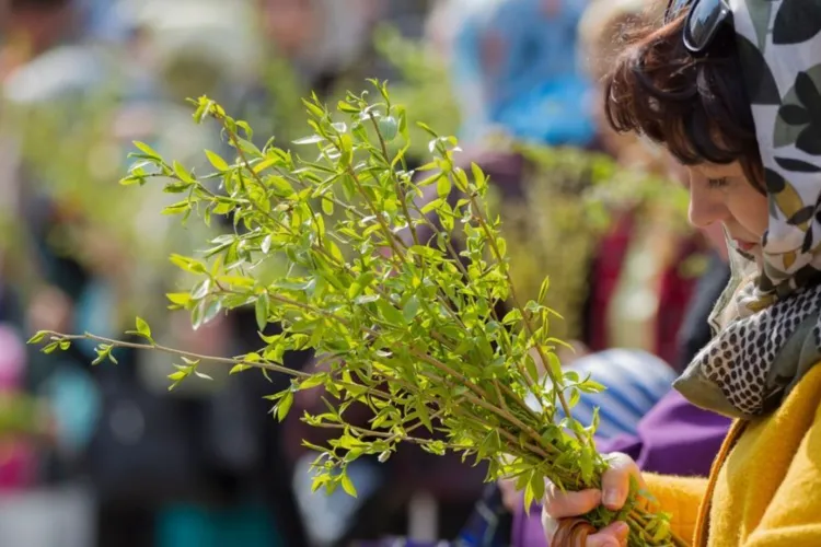 Floriile, sărbătoarea care aduce dezlegare la pește și speranță în suflete: Tradiții, interdicții și semnificații pe care puțini le cunosc