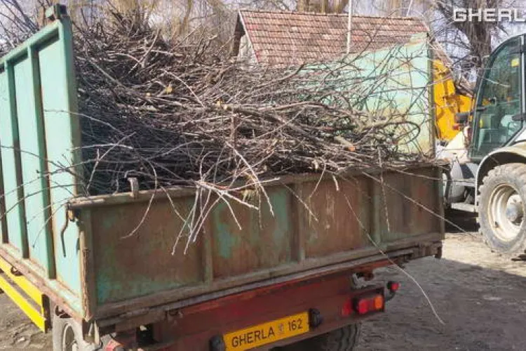 Primăria unei comune din Cluj vine să îți ridice crengile din curte! Când ajung în zona ta și ce trebuie să faci ca să nu rămâi cu ele