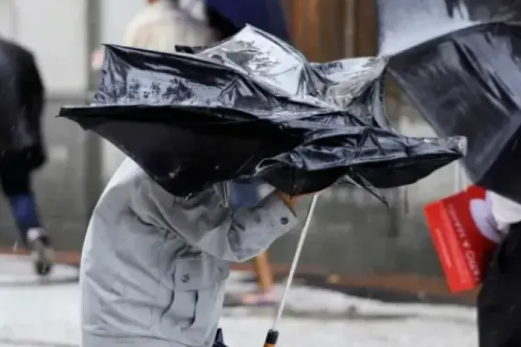  Cod galben de vânt puternic la Cluj! Sunt anunțate rafale de până la 100 km/h! Autoritățile trag un semnal de alarmă