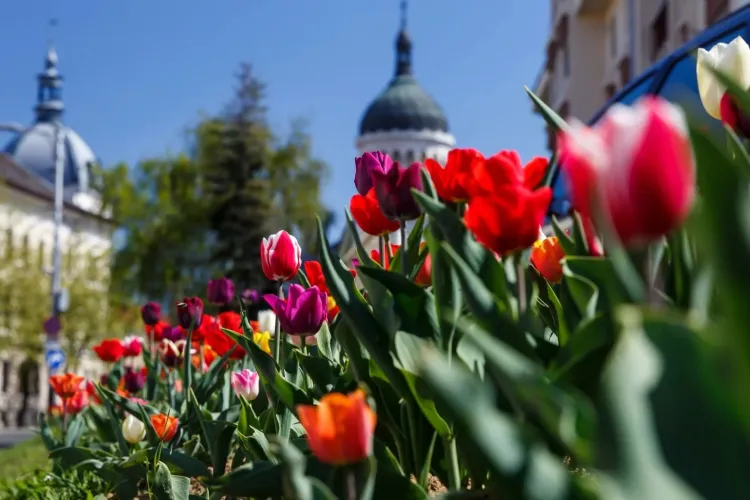 Prima zi de Paște aduce o încălzire timidă: De ce rămâne vremea capricioasă și sub așteptările de primăvară, atât în Cluj, cât și în restul țării