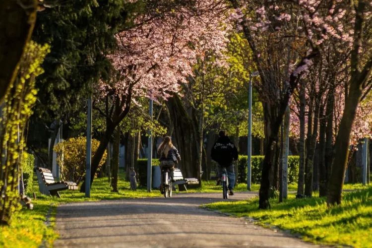 Cluj-Napoca arată spectaculos în această primăvară! Ce poți vedea acum pe malul Someșului și în parcurile orașului