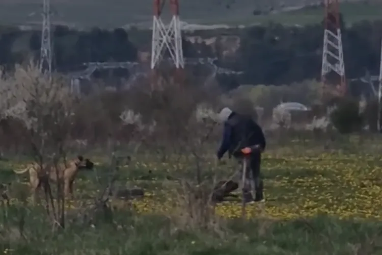 VIDEO. Anchetă a poliției după ce Știri de Cluj a publicat un „dresor” care lovește de mai multe ori cu piciorul un cățel. Cercetările sunt în derulare