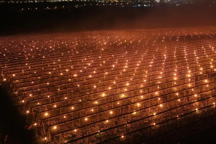 VIDEO. O fermă din Cluj a ars 40.000 de euro într-o singură noapte: „20 de oameni nu au închis un ochi toată noaptea, pe ger