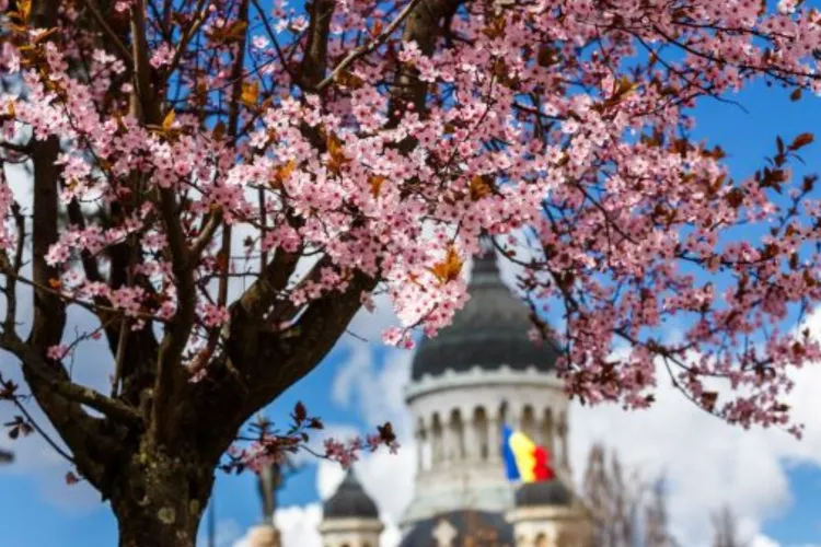 Mobilizare amplă de forțe la Cluj, de Florii și Paștele Catolic: Jandarmii ies în stradă pentru siguranța credincioșilor