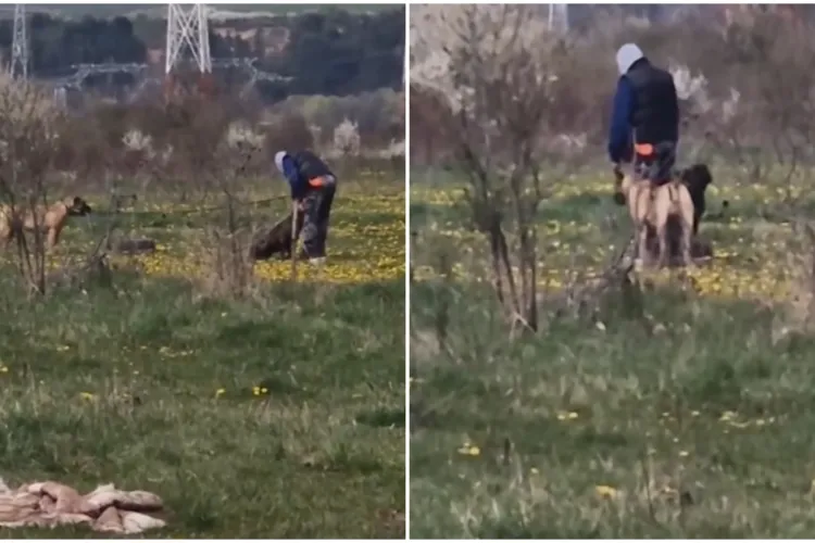 VIDEO. Revoltă în Cluj ce un „dresor” a fost filmat în timp ce lovește cu piciorul un câine. „Nu așa se dresează un animal”