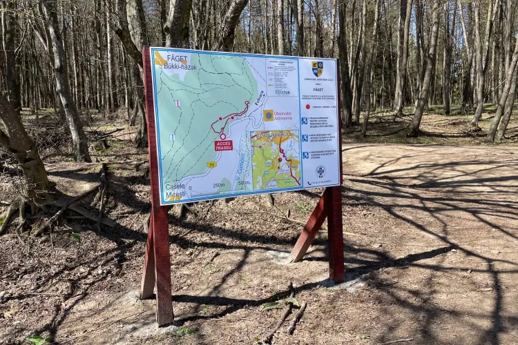 Clujenii în scaun cu rotile pot ieși, în sfârșit, la plimbare în Făget! Primul traseu din regiune accesibil pentru persoane cu dizabilități motorii