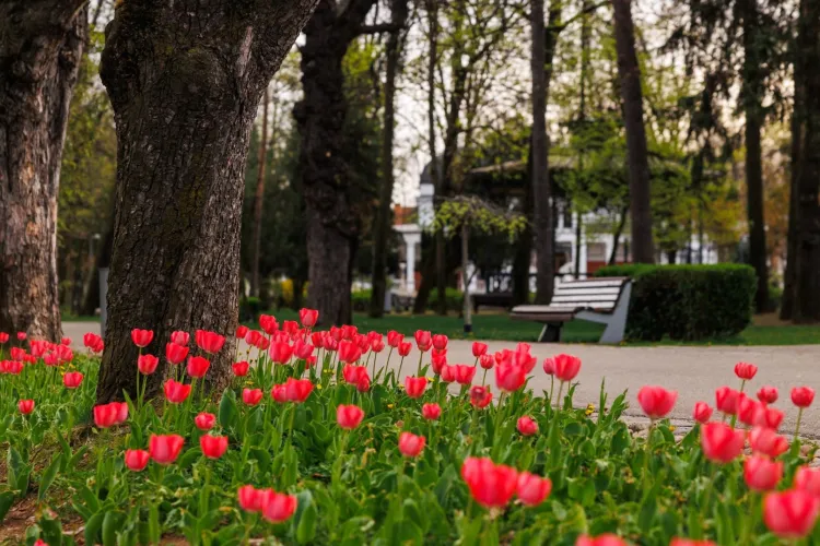 Vreme schimbătoare la Cluj și în toată țara: de la 20 de grade și soare timid la ploi, vânt puternic și o răcire bruscă în doar 24 de ore