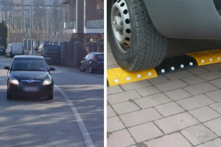 Clujenii cer limitatoare de viteză după ce o stradă din Cluj-Napoca a devenit pistă de curse. S-au săturat să-și vadă animalele moarte sub roți