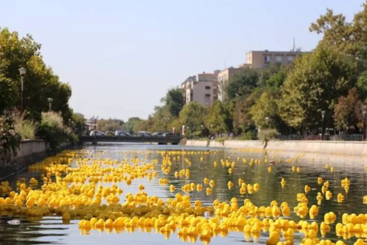 Ziua Copilului devine magie la Cluj: Cursa de Rățuște de la Podul Rozelor revine cu ediția a 6-a plină de surprize. Cum te poți înscrie