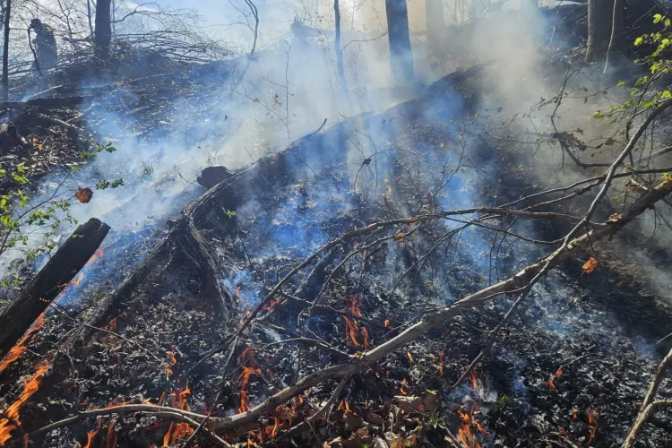 VIDEO. Incendiu puternic în Mărișel, Cluj: Pompierii se luptă cu flăcările pe versanți, vântul facând ravagii. Peste 5 hectare de teren afectate