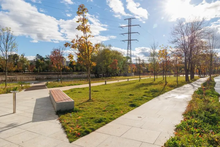 Pericol pe malul Someșului, în Cluj-Napoca: Copiii pot cădea oricând direct în apă! Autoritățile, sesizate de urgență