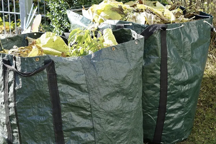 Campanie gratuită în Florești! Scapi de deșeurile din grădină fără să plătești un leu: Trebuie să respecți o singură condiție pentru a te califica