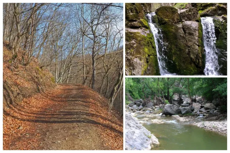 Un colț de rai la o oră de Cluj-Napoca! Cheile Borzești, „diamantul” ascuns al Clujului: „sora” mai puțin celebră a Cheilor Turzii, dar la fel de frumoasă!