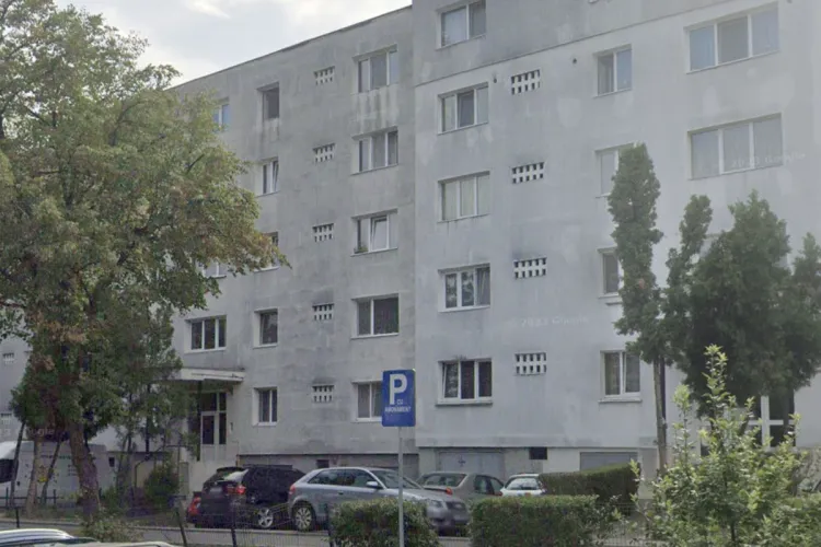 Clujenii, la capătul răbdării cu ciorile! Pasările au distrus izolaţia blocurilor și reparațiile costă tot mai mult: „Nu vrem să renovăm degeaba!