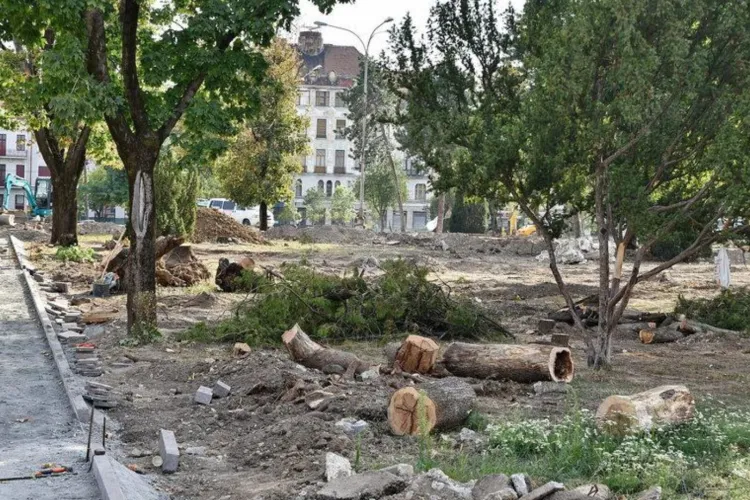 Tăierea arborilor ar putea deveni infracțiune: Anunț dur al ministrului Mediului după scandalurile din parcuri. „Trebuie sancționat cu închisoarea”