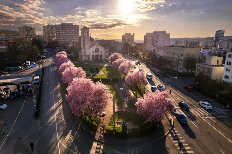 FOTO. Emil Boc le-a reamintit clujenilor de ce Cluj-Napoca este supranumit „Orașul Comoară”: „Cel mai frumos oraș este Cluj-Napoca, cu oameni minunați!” 