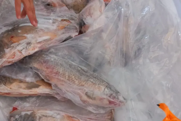 „A plouat” cu amenzi de la ANPC: Peste 1.300 de magazine verificate, produse retrase de la vânzare și 18 locații și-au suspendat activitatea