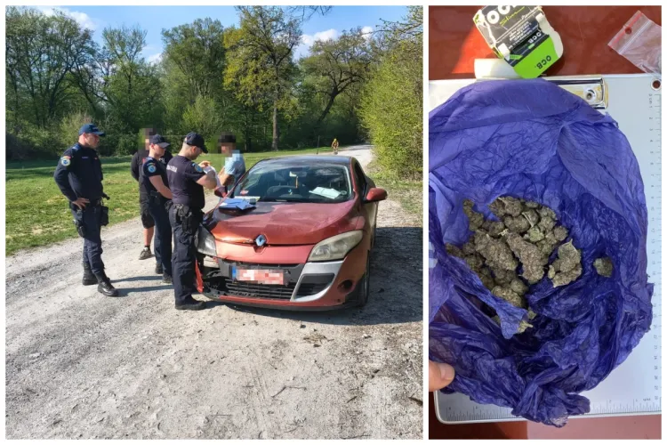Jandarmii clujeni au oprit un șofer care ieșise la „iarbă” în Pădurea Hoia. Cum l-au depistat