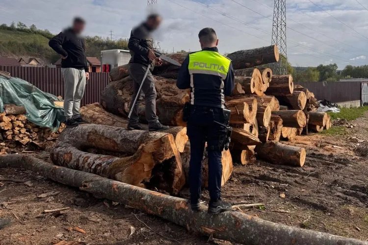 Transport ilegal de lemn descoperit la Florești! Poliția a confiscat 61 de metri cubi și a dat o amendă record. Ce valoare are „captura”
