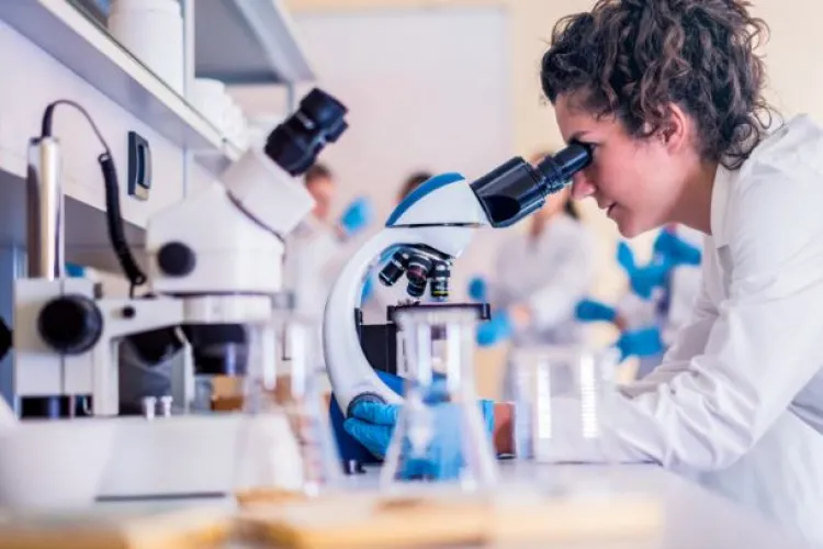 Fraudă de aproape 800 000 de euro, oprită de procurorii europeni din Cluj. Oamenii Codruței Kovesi au recuperat și banii!