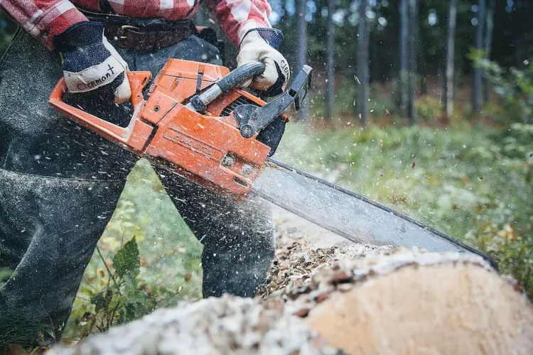 Moarte cumplită pentru un bărbat de 48 de ani. Într-un moment de neatenție a scăpat drujba de sub control și nu a mai putut fi salvat